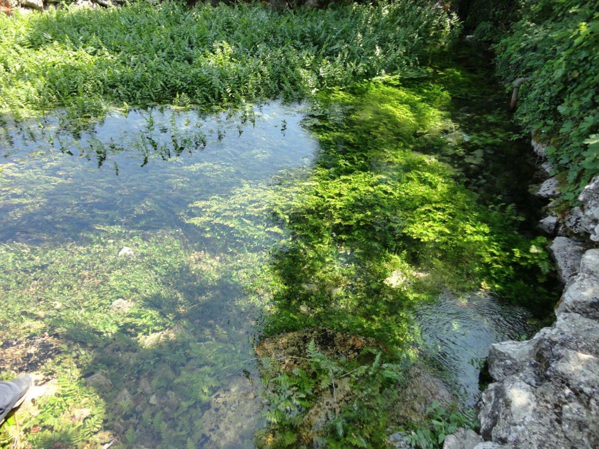 Water Spring Villa Hrvace Ngoại thất bức ảnh